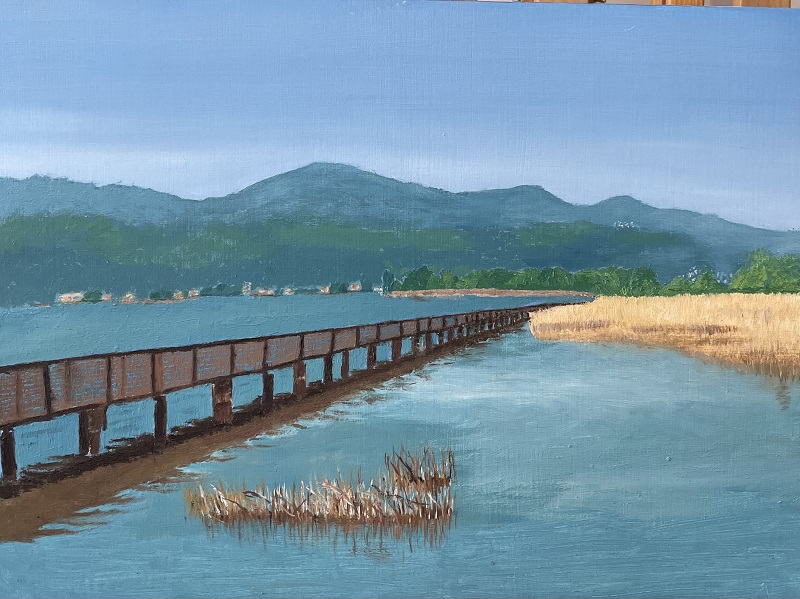 Rosemarie Steg IMG 3247